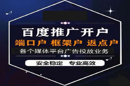 SEM托管公司案例分析：数据驱动决策
